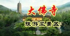 肥白骚中国浙江-新昌大佛寺旅游风景区